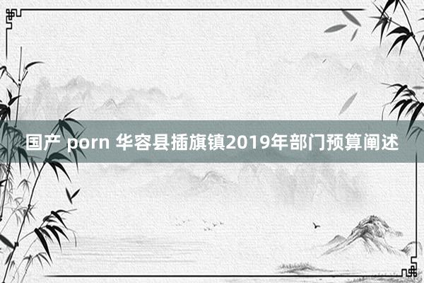 国产 porn 华容县插旗镇2019年部门预算阐述