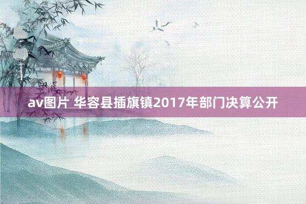 av图片 华容县插旗镇2017年部门决算公开