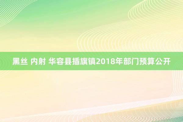 黑丝 内射 华容县插旗镇2018年部门预算公开